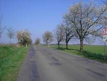 Neuzeller Stra�e, zwischen Ortsteilen Wellmitz, Volksgut und Wellmitz