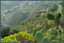 Verlassene Huser stehen an den Hngen oberhalb von Taormina. (24.02.2024)