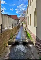 Flie�t durch Lutherstadt Eisleben: die  B�se Sieben . Hier abgebildet bei Luthers Geburtshaus.

🕓 27.4.2024 | 16:12 Uhr