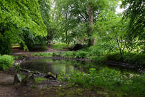 Unterwegs im zum Ende des 18. Jahrhunderts angelegten Christiansenpark von Flensburg. (Juni 2024)