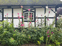 Ausschnitt eines Reetdachhauses an der Dorfstrae in Sieseby an der Schlei. Aufnahme: 4. August 2024.