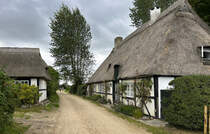 Reetdachhuser am Alten Schulweg in Sieseby an der Schlei. Aufnahme: 4. August 2024.