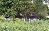 Der Ort Sieseby liegt unmittelbar an der Schlei. Hier ist eines der vielen Fachwerkhuser des Dorfes hinter Schilf versteckt. Aufnahme: 4. August 2024.