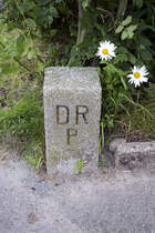 Grenzstein Nummer 246 an der deutsch-dnischen Grenze. Das Foto ist in Rosenkranz auf der deutschen Seite der Grenze aufgenommen. DRP steht fr Deutsches Reich Preuen. Aufnahme: 3. August 2024.