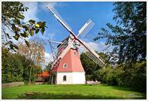 Die Erdgalerie-Hollnder Windmhle von Quelkhorn im Kreis Verden. Zu dieser Zeit waren die pfel bereits reif, wie links im Bild zu sehen ist. Anfang September 2024.