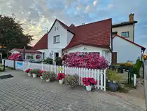 Ein Meer aus Petunien verziert dieses Haus im polnischen Ostseebad Chłopy. (September 2024)