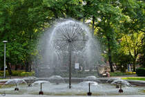 Der Lwenzahnbrunnen befindet sich im Zentrum des Platz des 18. Mrz, so gesehen Anfang September 2024 in Kolberg (Kołobrzeg).