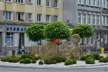 Eine interessant gestaltete Kreisverkehrsinsel in Kolberg (Kołobrzeg), so gesehen im September 2024.