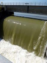 Rhinau/Elsa, Rheinwehr, geffnetes Wehr bei hohem Wasserstand, Aug.2024