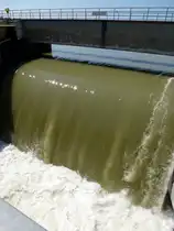 Rhinau/Elsa�, Rheinwehr, ge�ffnetes Wehr bei hohem Wasserstand, Aug.2024