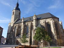 Laucha an der Unstrut, Stadtkirche St. Marien, sptgotischer Bau aus dem 15. Jahrhundert (22.09.2024)