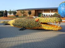 Feldkirch im Markgrflerland, Krbiskunst auf dem Bohrerhof, Sept.2009