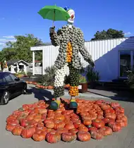 Feldkirch im Markgr�flerland, K�rbiskunst auf dem Bohrerhof, Sept.2024