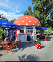 Kult pur versprht der  Milchpilz  in Bregenz (AT). Dort gibt es hauptschlich Milchshakes in verschiedensten Variationen vom Eigentmer Vorarlberg Milch.
In den 1950er-Jahren entstanden, gibt es von ursprnglich 49 nur noch 6 solcher Milchpilze. Neben Bregenz als nunmehr einziger sterreichischer Standort stehen diese nur in Deutschland, und zwar in Lindau, Wangen, Regensburg, Mardorf und Rosengarten.

🕓 2.8.2024 | 17:06 Uhr