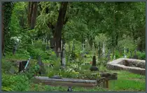 Der katholische Friedhof von �iauliai entstand ab etwa 1800 als Pfarrfriedhof der nahegelegenen Kathedrale St. Peter und Paul. (28.08.2024)