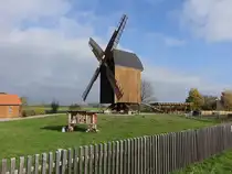 Spergau, Bockwindm�hle, erbaut von 1836 bis 1837 (01.11.2024)