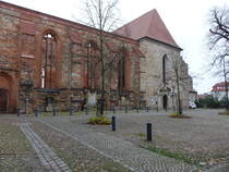 Zerbst, ehemalige Hofkirche St. Bartholomus,  sptromanische kreuzfrmige Basilika aus Bruchstein, erbaut ab 1215, Langhaus erweitert im 15. Jahrhundert, nur Querhaus und Chor wird noch als Kirche genutzt (08.12.2024)