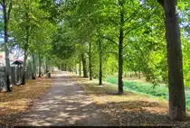 Flanieren auf alter Stadtbefestigungsanlage: der zum Fu�weg umgestaltete Westwall in Stendal.

🕓 31.8.2024 | 17:03 Uhr