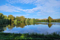 Grne Lunge Stendals: der Stadtsee. Dass dieser von Plattenbauten umgeben ist, mutet nicht an... oder?

🕓 31.8.2024 | 17:37 Uhr