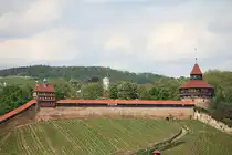 Die Esslinger Burg thront am 04.05.2024 auf den Weinbergen �ber Esslingen. 