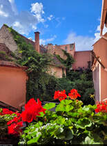 Hinterhof-Atmosphre auf der Terrasse des kleinen, gemtlichen Hotels in der Altstadt von Brașov (RO), in dem der Fotograf bernachtet hat.

🕓 14.9.2024 | 16:52 Uhr