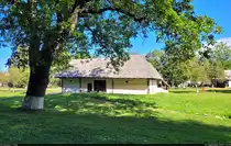 Altes Bauernhaus im Freilichtmuseum (Muzeul Satului Brănean) von Bran (RO), direkt neben dem bekannten Schloss gelegen.

🕓 15.9.2024 | 12:19 Uhr