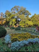 Richtiges Timing: Eine der in den Grnanlagen von București (RO) stehenden Uhren, umsumt von Blumen im Cișmigiu-Park (Parcul Cișmigiu), dem grten und ltesten Park der Hauptstadt.

🕓 19.9.2024 | 8:04 Uhr