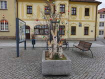 Neustadt in Sachsen, Osterschmuck vor dem Haus Voogt am Markt (30.03.2025)