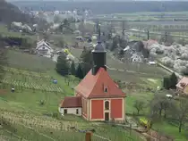 Pillnitz, evangelische Weinbergkirche Hl. Geist, barocke Dorfkirche von 1723 (30.03.2025)