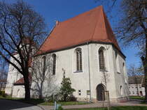 Brehna, Stadtkirche St. Clemens und St. Jakobus, erbaut im 10. Jahrhundert (12.04.2025)
