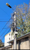 Elektrik wird in Rumnien etwas pragmatischer gehandhabt. Symbolbild dafr ist ein Laternenmast in der Strada Oleg Danovski in Constanța.

🕓 24.9.2024 | 12:19 Uhr