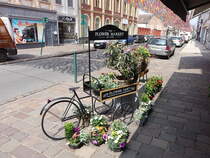 Aire-sur-la-Lys, Blumenmarkt in der Rue de Saint Omer (25.04.2025)