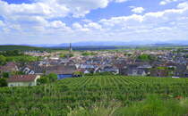 Ihringen am Kaiserstuhl, Blick auf die Stadt, am Horizont der Schwarzwald, Mai 2025