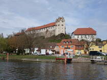 Wettin, Hhenburg ber der Saale, erbaut ab 961 (13.04.2025)