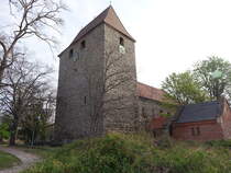 Beesenlaublingen, evangelische St. Peter und Paul Kirche, romanische Saalkirche, Bruchsteinbau aus dem 12. Jahrhundert (14.04.2025)