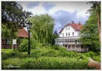 Munster in der L�neburger Heide. Parkanlage N�he Wasserm�hle an der �rtze. Im Hintergrund das Restaurant zur Wasserm�hle, Anfang Juni 2025