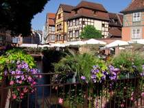 Bltenpracht in Klein-Venedig; 080830