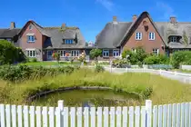 Reetdachh�user auf der Hallig Oland im Nordfriesischen Wattenmeeer. Aufnahme: 1. Juli 2025.