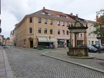 Kamenz, Huser und Andreasbrunnen am Marktplatz (07.06.2025)