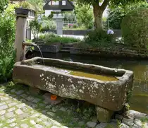 Schiltach, alter Brunnen mit Sandsteintrog, Juli 2025