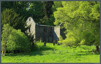 Zum Landschaftsgarten von Blair Castle gehrt auch die Kirchenruine St. Bride's. (Blair Atholl, 12.05.2025)