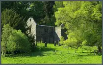 Zum Landschaftsgarten von Blair Castle geh�rt auch die Kirchenruine St. Bride's. (Blair Atholl, 12.05.2025)