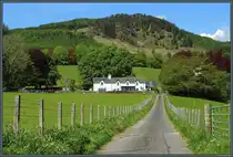 Ein kleiner Bauernhof mit Schafherden bei Pitlochry. (13.05.2025)