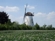 Schmerlecke, Windmhle Am Alten Hellweg, Kornmhle von 1930 (18.06.2025)