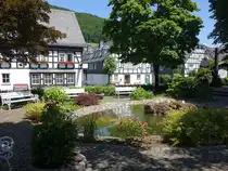 Grafschaft, Brunnen und Fachwerkh�user in der Stra�e Zu den H�fen (20.06.2025)