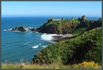 Blick entlang der Steilkste zur Burgruine Dunnottar Castle bei Stonehaven. (16.05.2025)