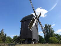 Cammer, Bockwindmhle, erbaut 1700, Restaurierung 1984 (04.07.2025)