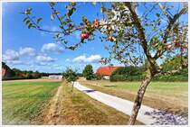 Dorfrand von Sprengel bei Schneverdingen. Wir schauen von einer Anhhe ins Tal. Auf dieser Anhhe steht die Windmhle von Sprengel. Zur Zeit sind die pfel reif, Anfang September 2025.