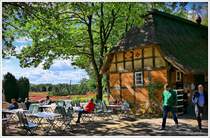 Garten-Caf  Schneverdingen  Auf dem Hpen . Direkt am Heidegarten gelegen, hier werden Zuchtsorten gepflanzt, die bis in den Oktober blhen. 
Lneburger Heide 23.09. 2025