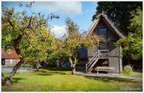 Treppenspeicher auf dem Heimathausgelnde Rotenburg/Wmme. Tragende Apfelbume im Vordergrund. Oktober 2025